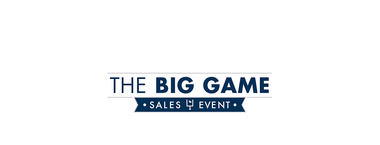 the big game Sales Event