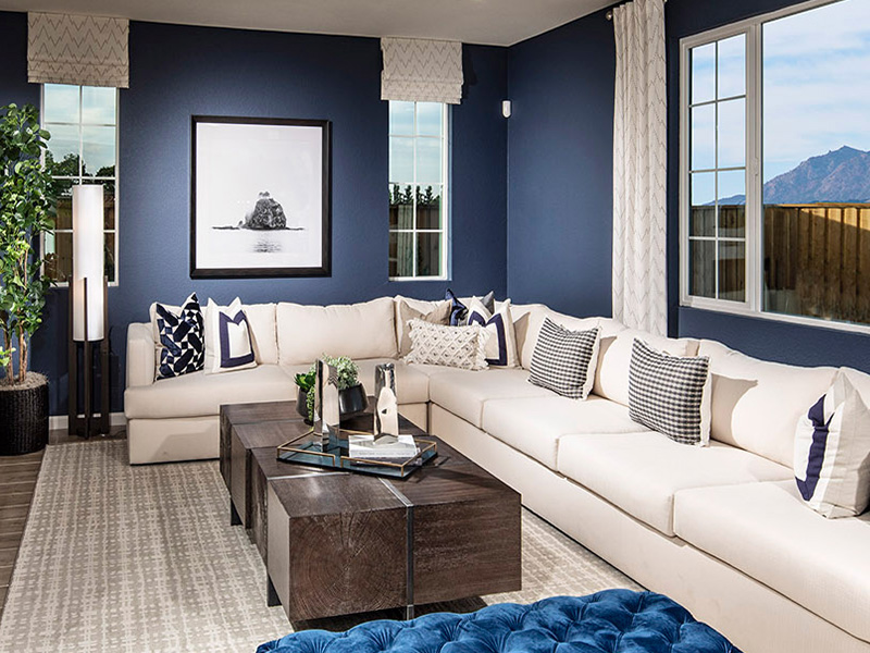 Navy living room