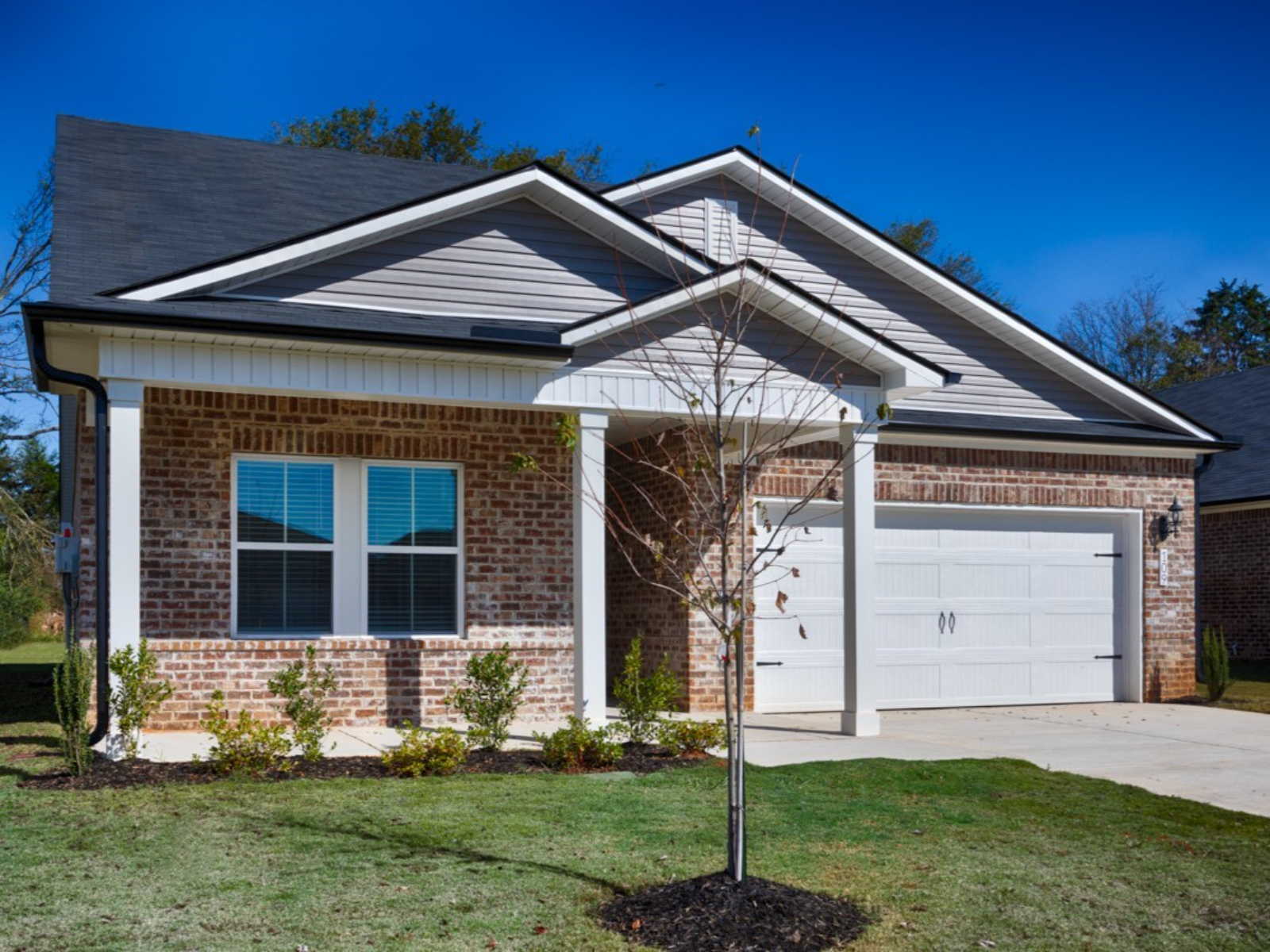 A Quick Move-in Carolina Floorplan