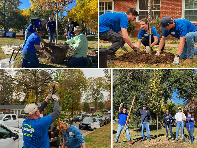 Meritage Homes employees working together digging and planting trees.