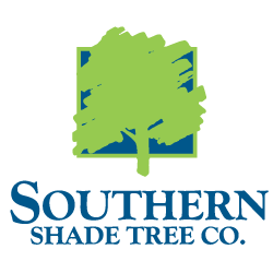 SST-LOGO-FULL-COLOR.png