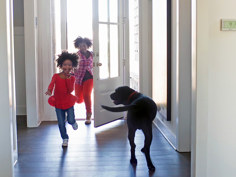 Children run through the front door as dog wags its' tail in excitement