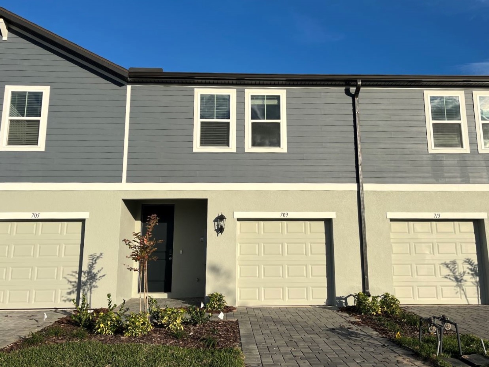 The Reserve at Hammock Oaks Townes
