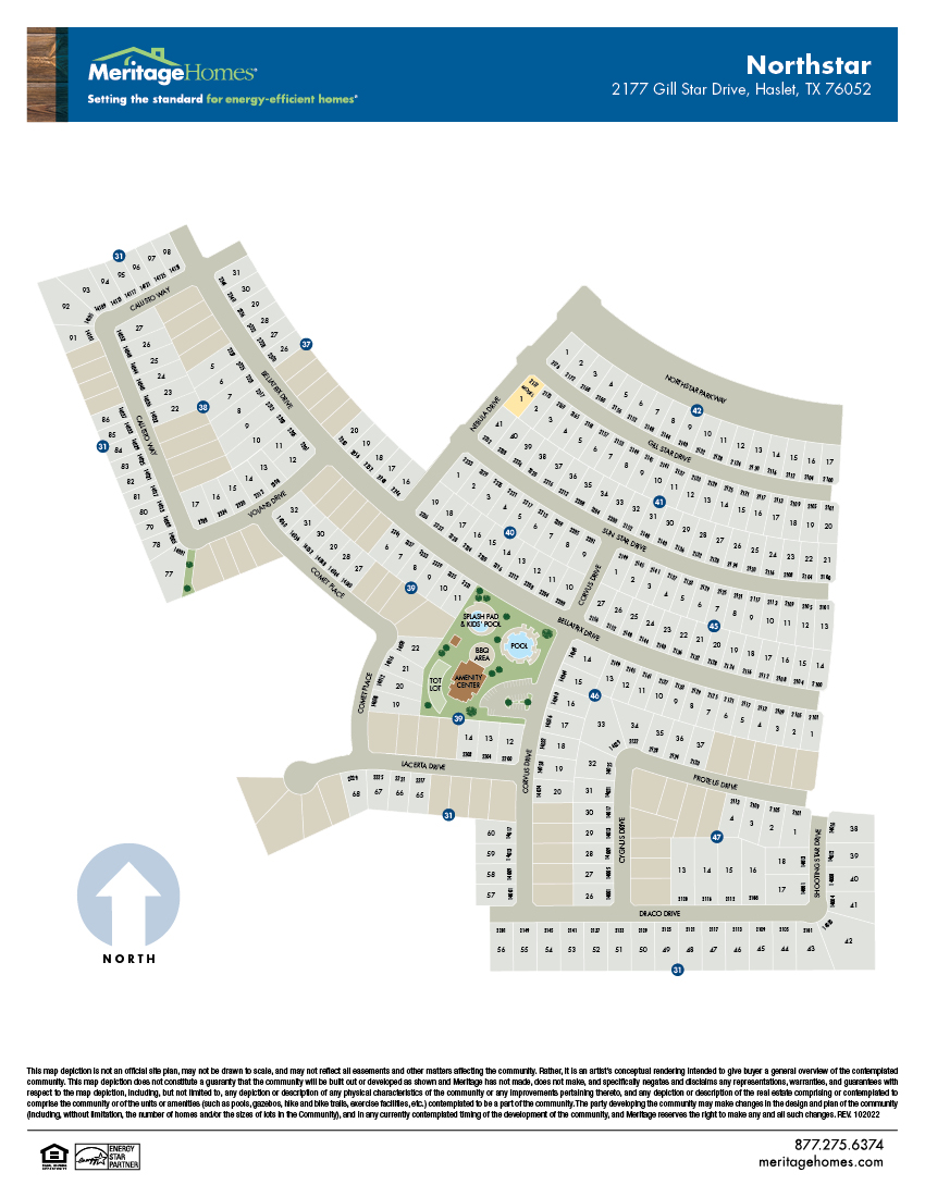 DFW Site Map Flyer Northstar JPEG