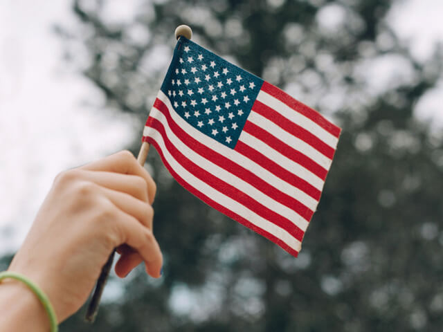 Person holding minature American Flag in the air