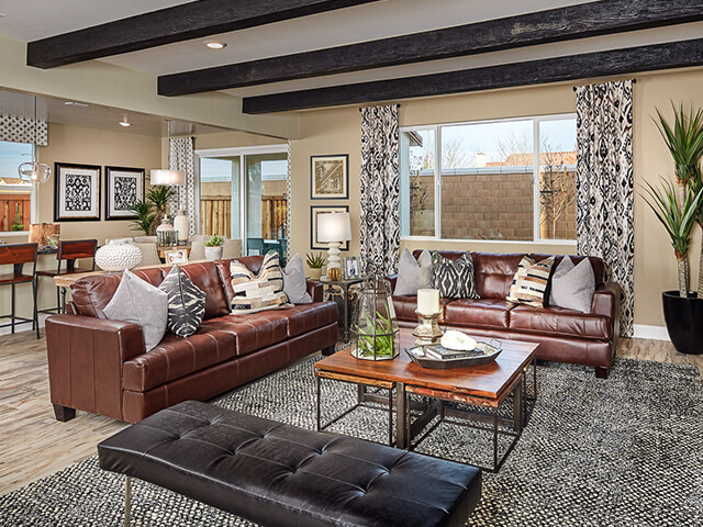 Living room with brown leather couches